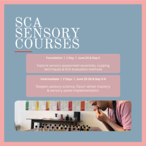 SCA Sensory Skills Foundation