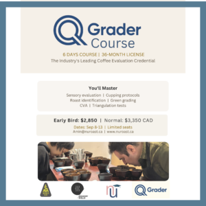 Q Grader Course